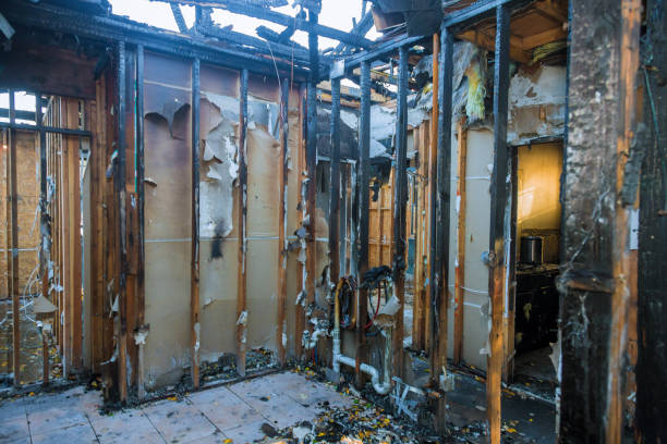 Professional Smoke Damage Removal technician working in Mascotte, FL